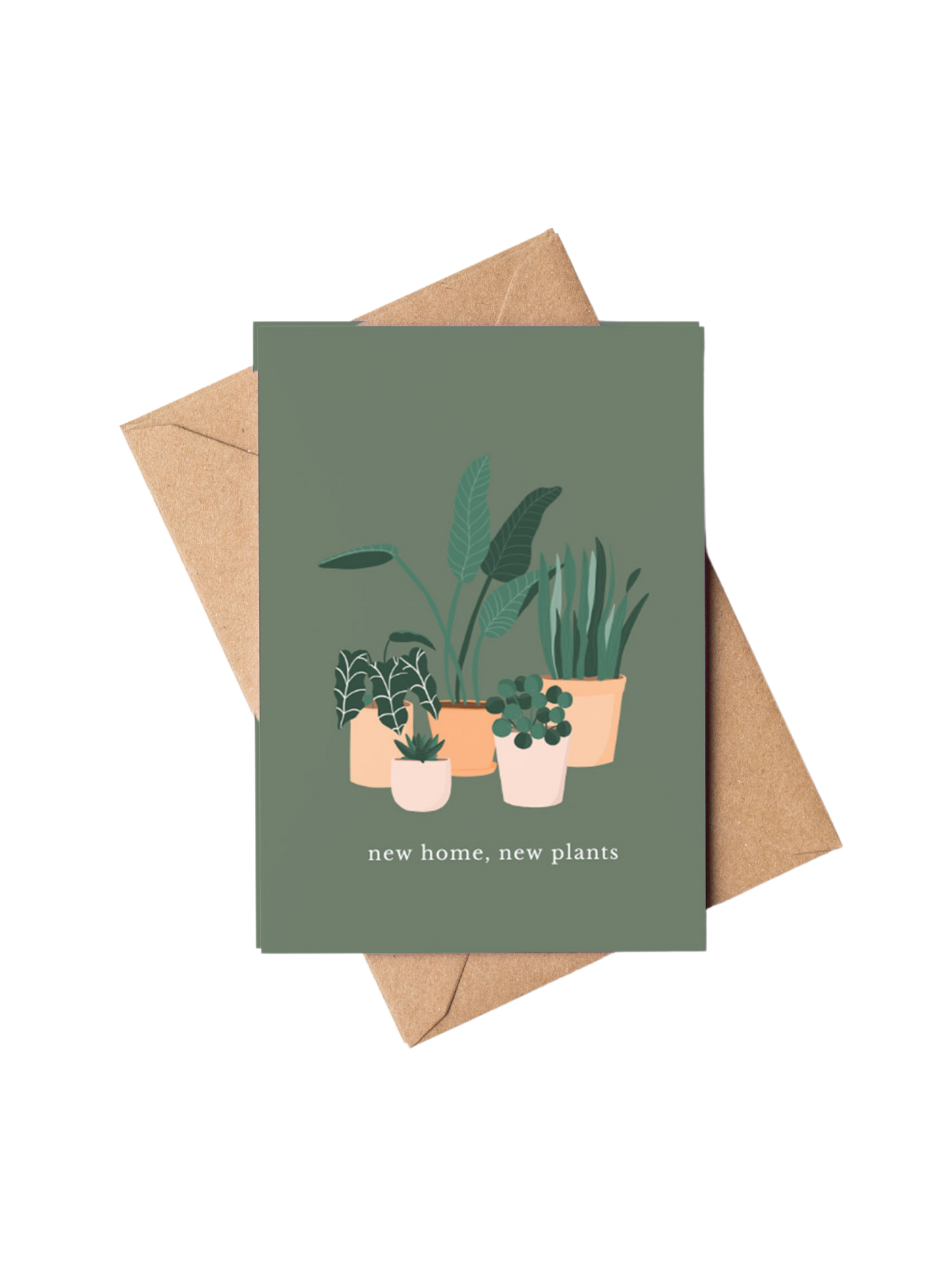 NEW HOME, NEW PLANTS