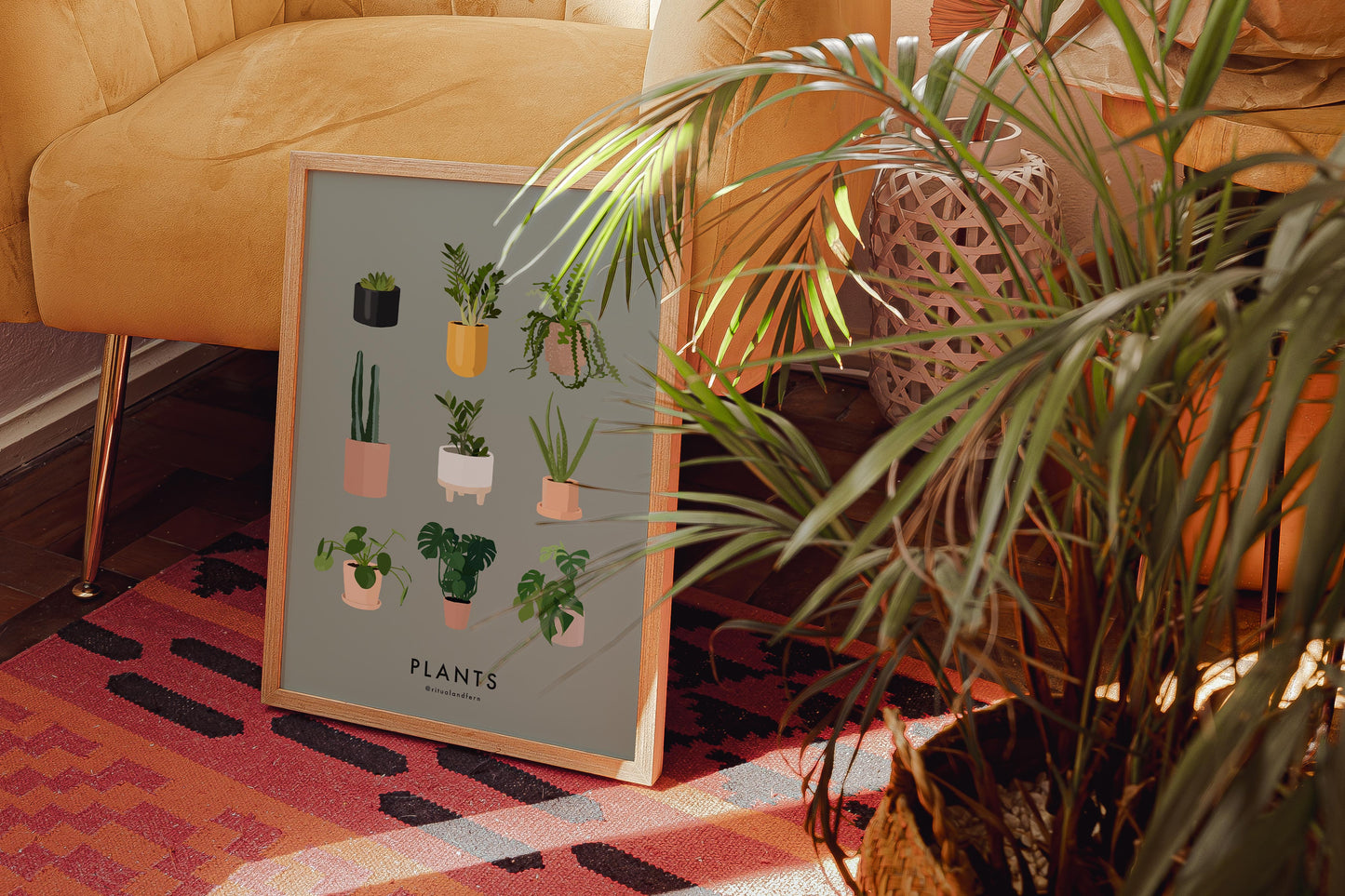 PLANT FAMILY