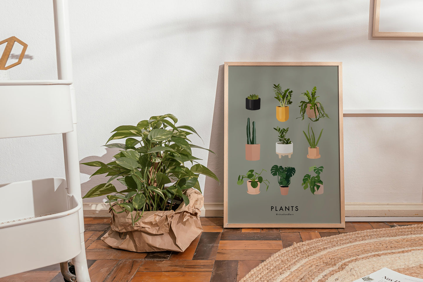 PLANT FAMILY
