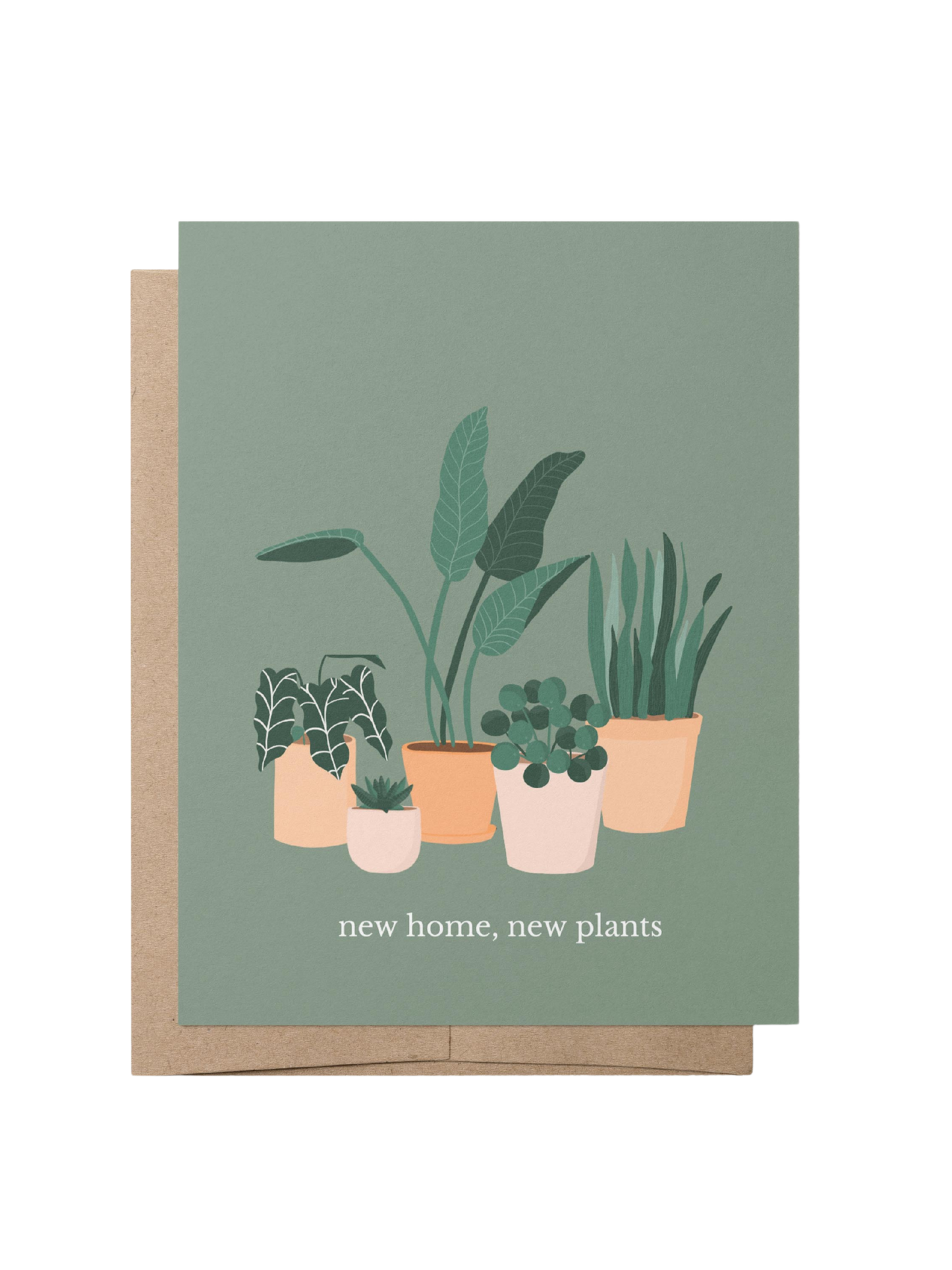 NEW HOME, NEW PLANTS