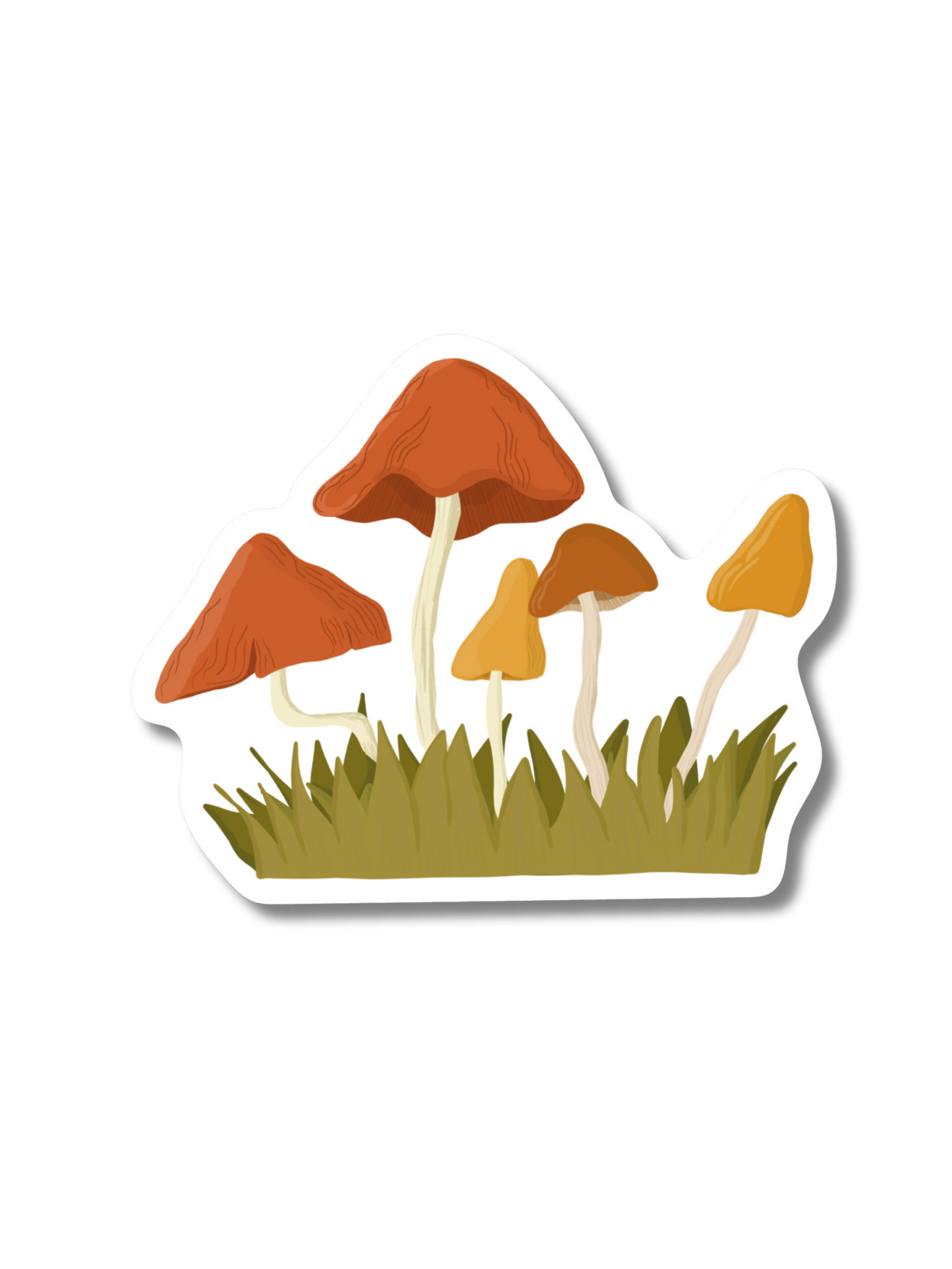 'SHROOMS