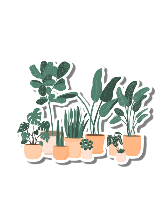 PLANT FAMILY STICKER